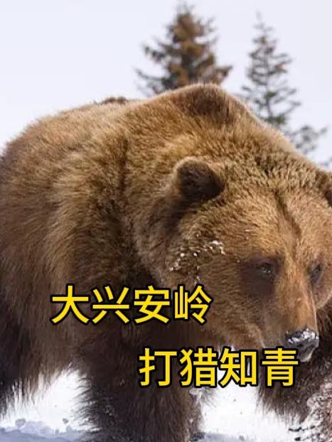 大兴安岭打一红楼梦人物