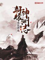 轩辕神兵啥属性