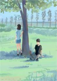 夏日终曲系列书籍